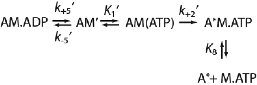 Scheme 5