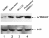 FIG. 6.