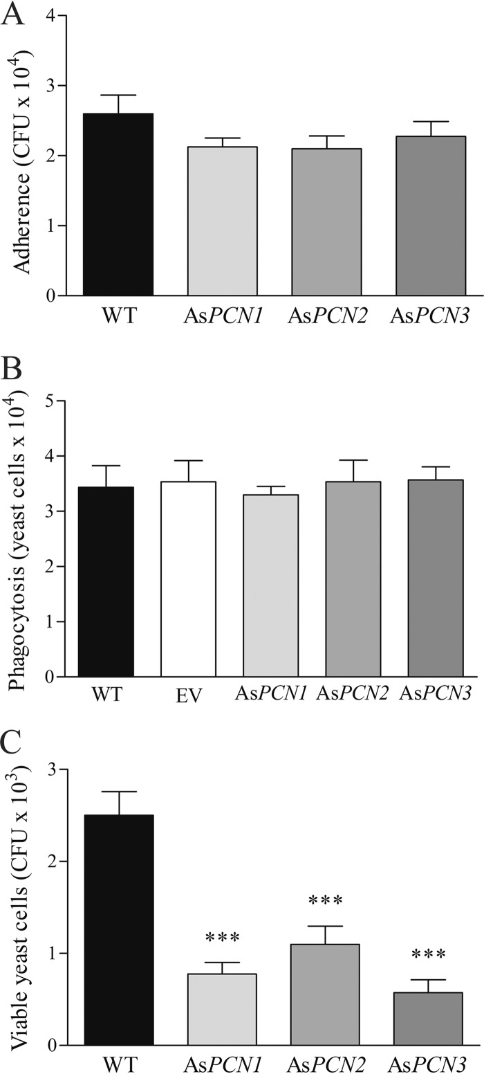 FIG 4 