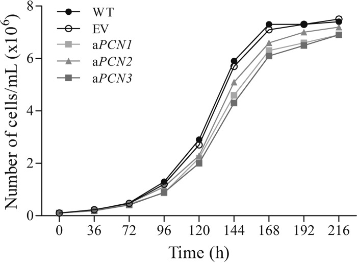 FIG 2 