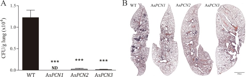 FIG 5 