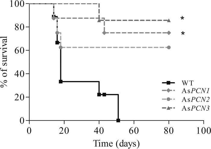 FIG 6 