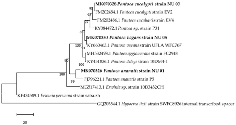 Figure 1