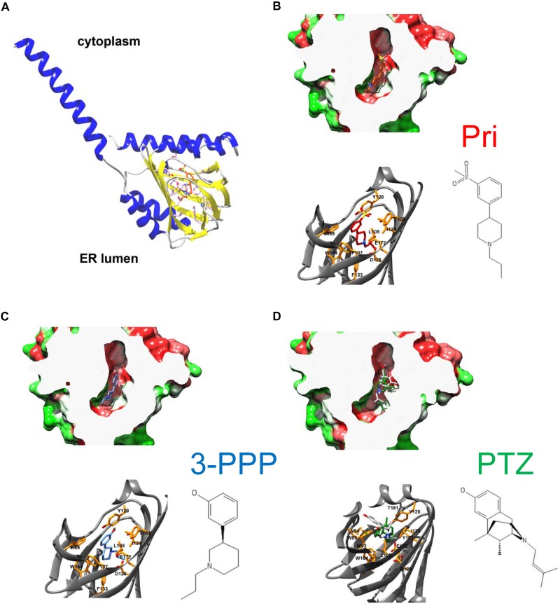 FIGURE 2