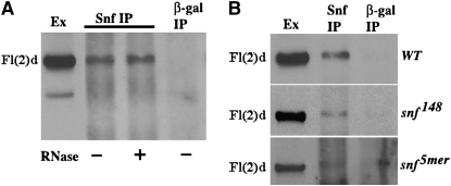 Figure 4.—