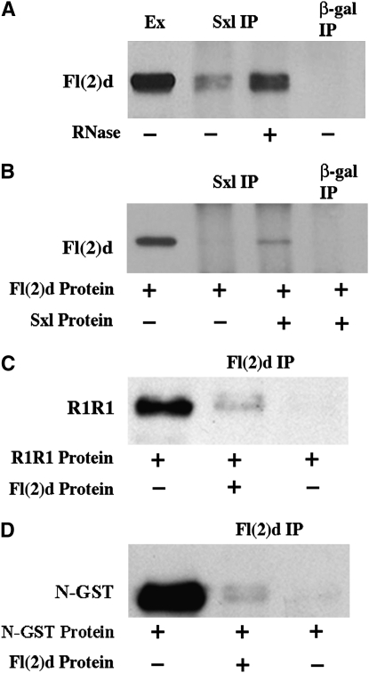 Figure 2.—