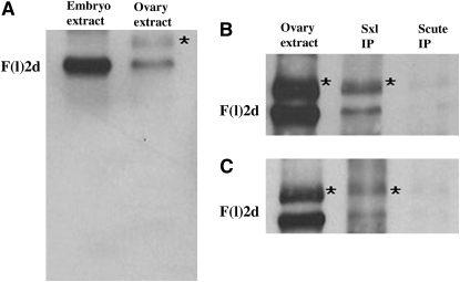 Figure 3.—