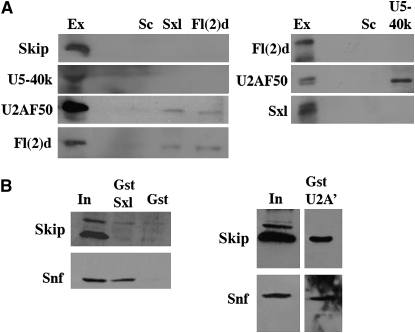 Figure 6.—