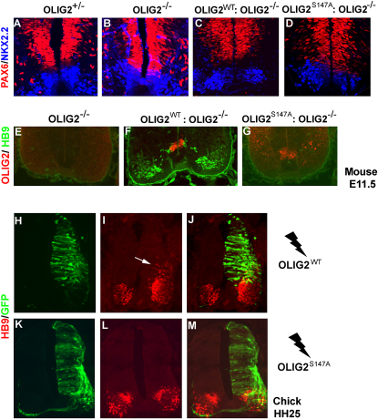 Figure 4