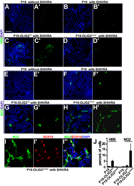 Figure 6