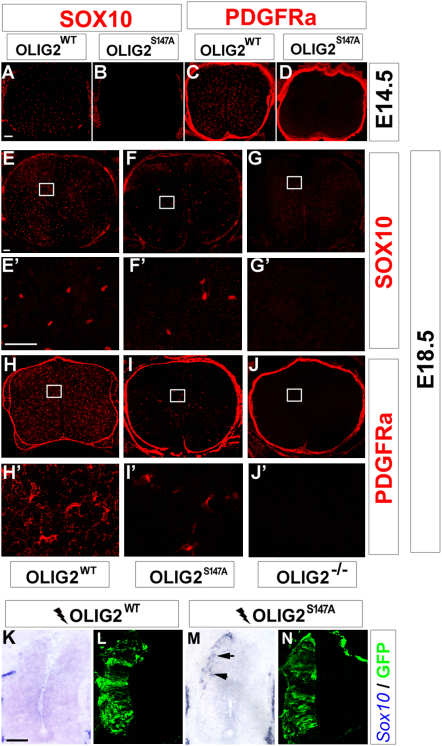 Figure 5