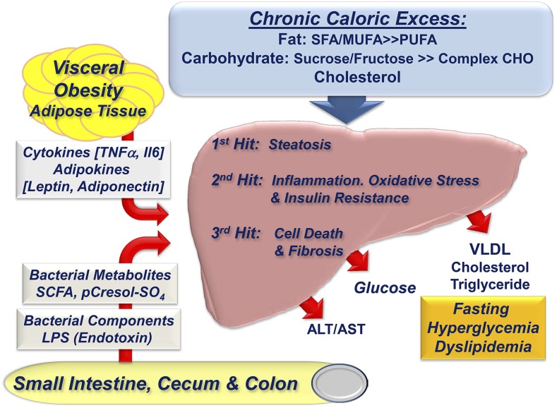 FIGURE 2