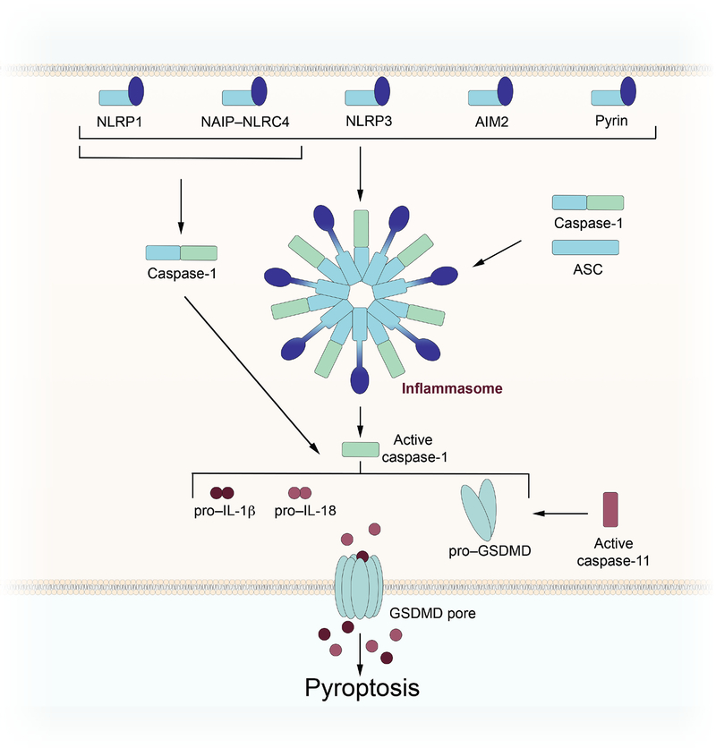 Figure 3: