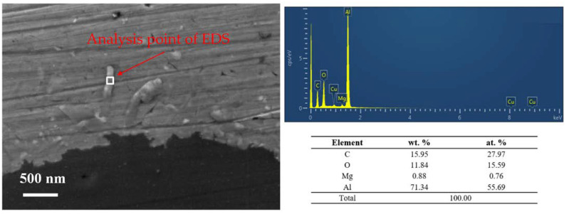 Figure 10