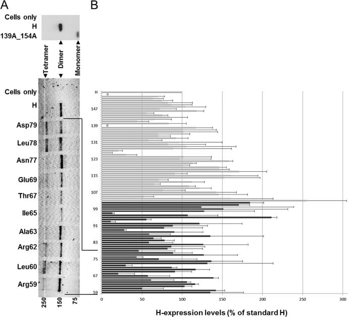 FIG 2