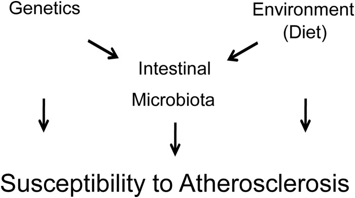 FIGURE 13.