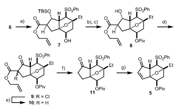 Scheme 2