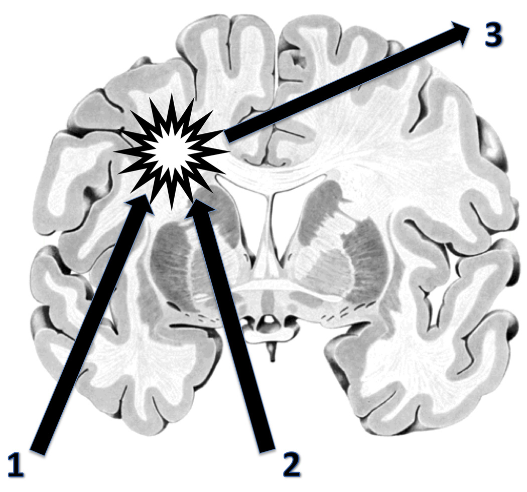 Fig. (3)