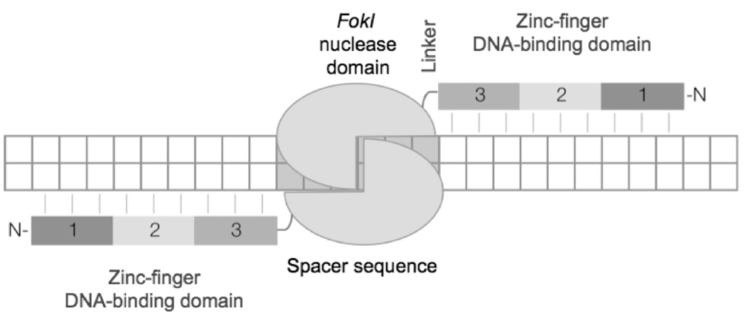 Fig. (2)