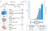 Figure 2 |