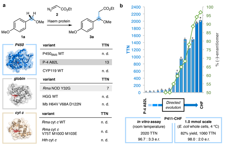 Figure 2 |