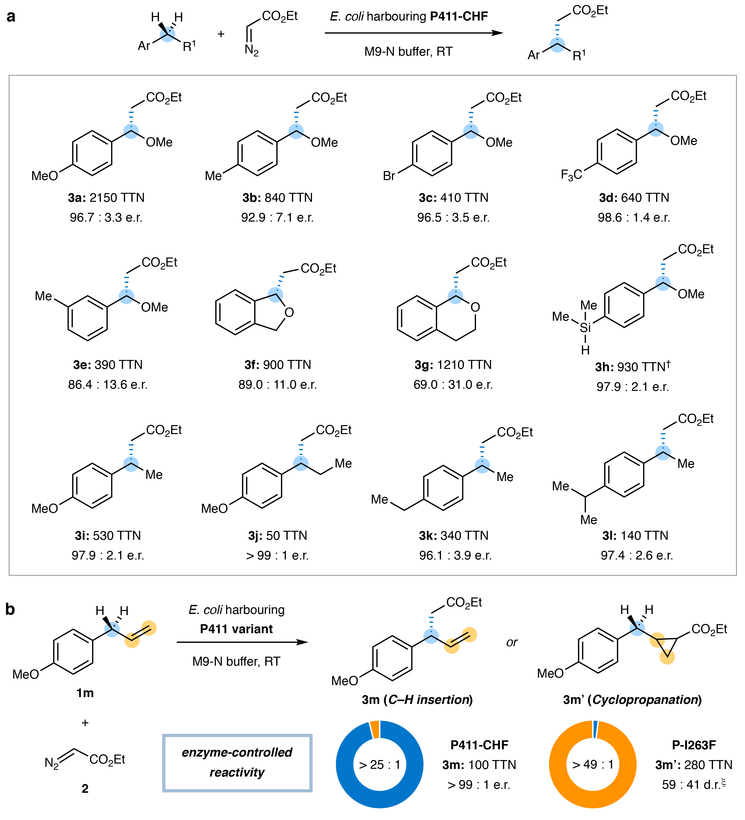 Figure 3 |