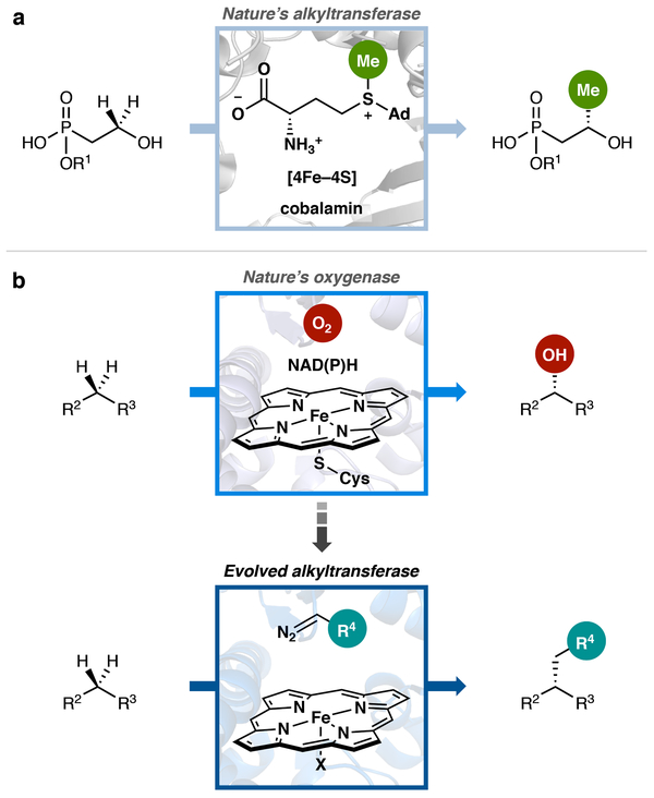 Figure 1 |