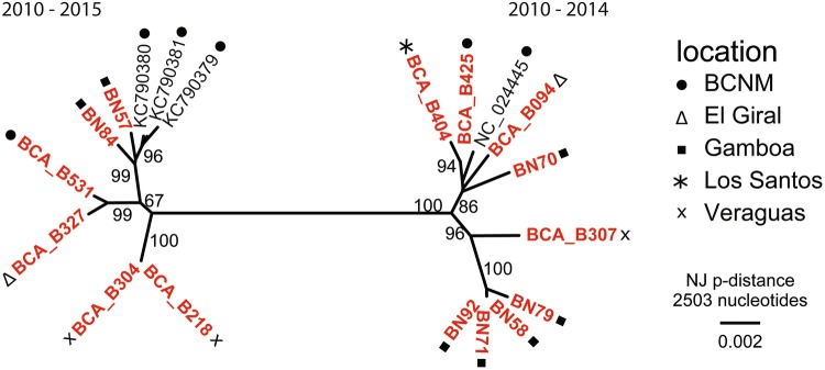 Figure 3