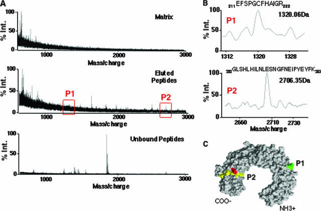 FIG. 6.