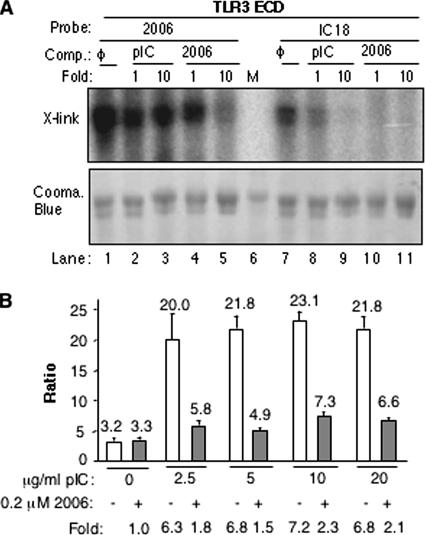 FIG. 7.