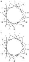 FIG. 5