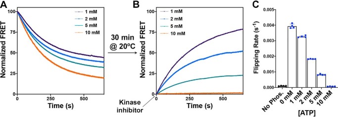 Figure 5.