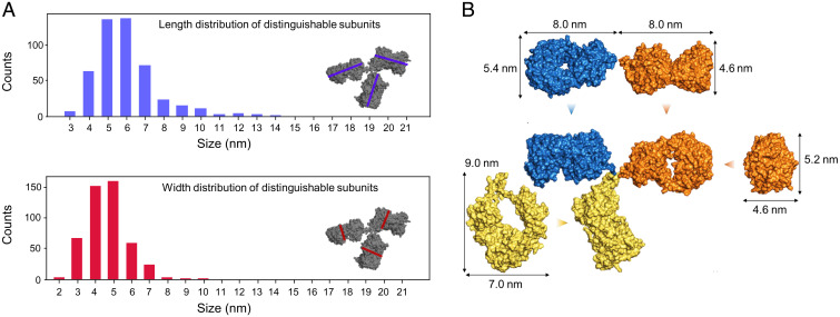 Fig. 3.