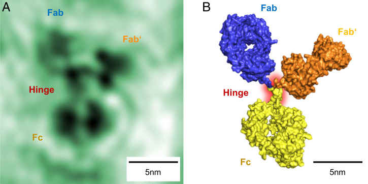 Fig. 2.