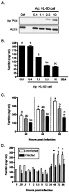 FIG.2.