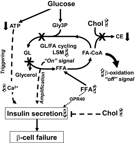 FIG. 6.