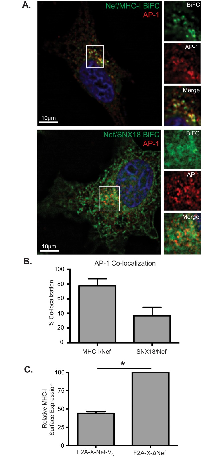 Fig 6