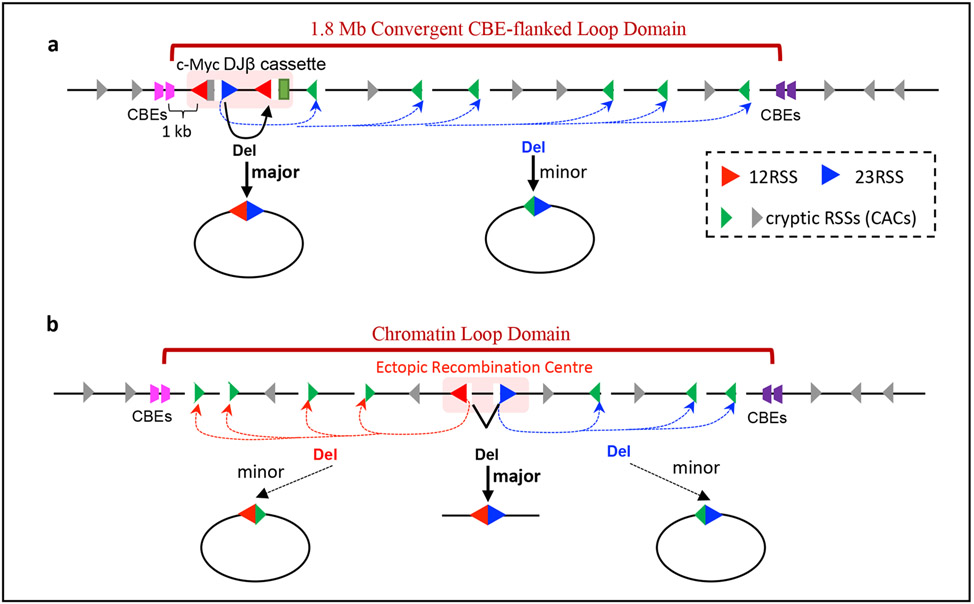 Figure 3 ∣