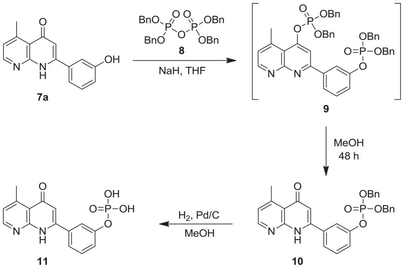 Scheme 6