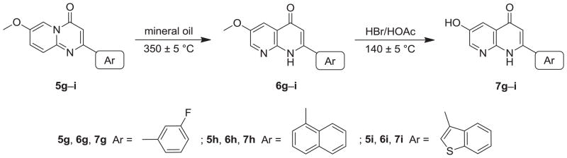 Scheme 4