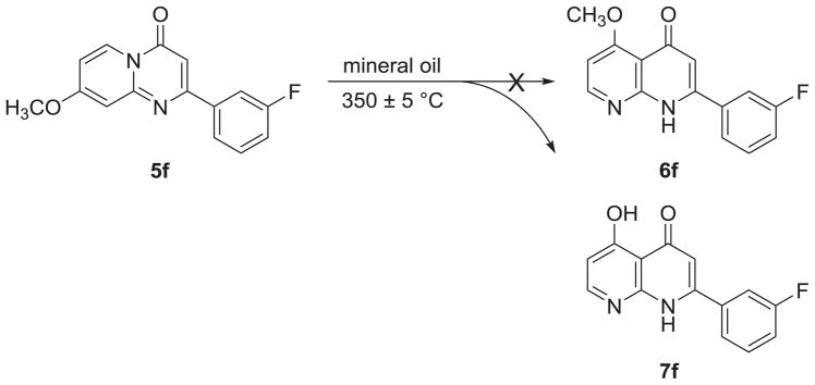 Scheme 5