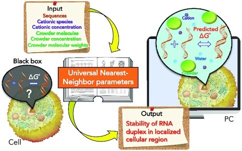 Graphical Abstract