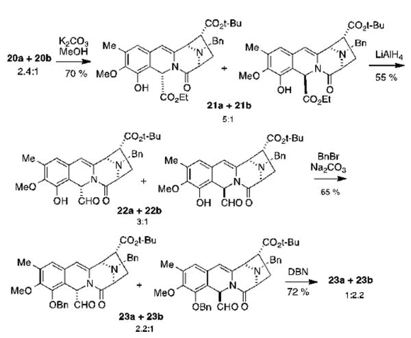 Scheme 5