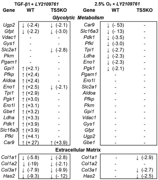 Figure 6: