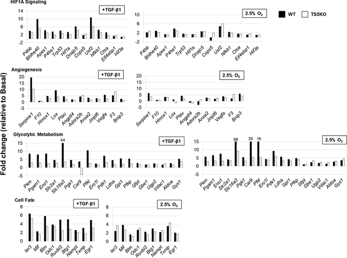 Figure 5: