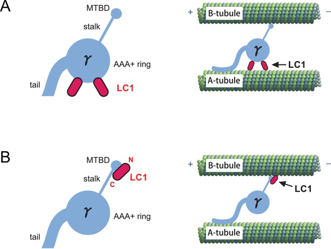 FIGURE 7: