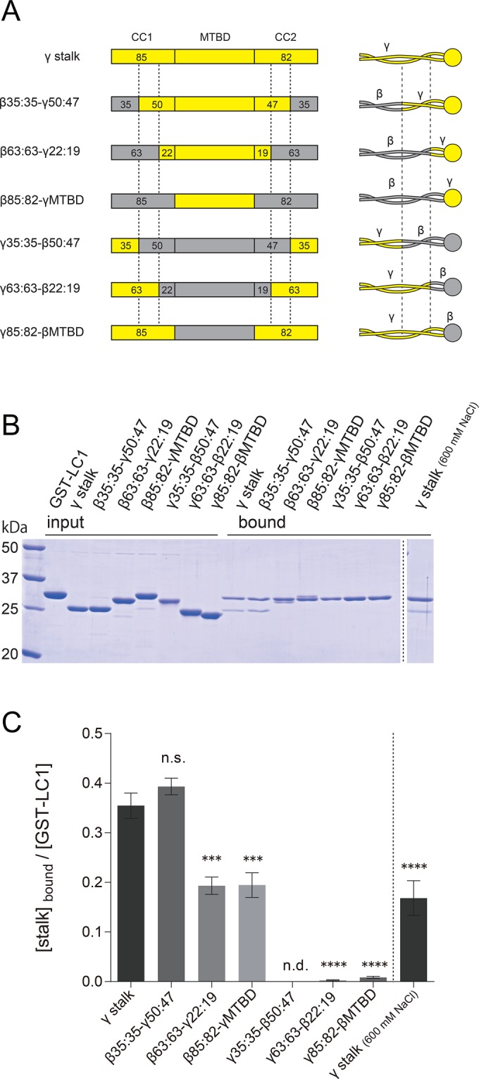 FIGURE 5: