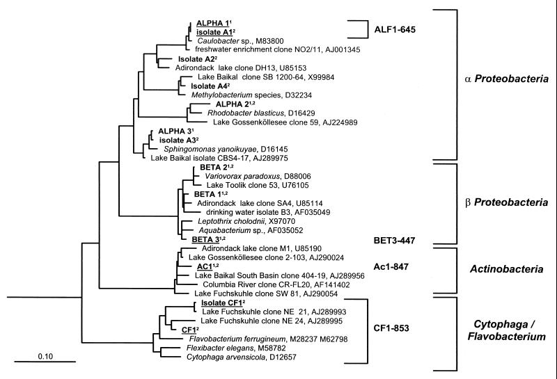 FIG. 1