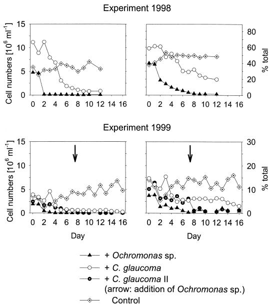 FIG. 5