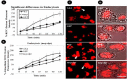 Fig. 2: